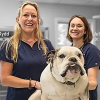 Stockton Veterinary Hospital ico