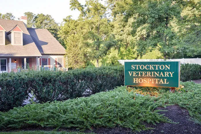 Stockton Veterinary Hospital 12
