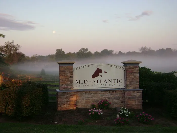 Mid-Atlantic Equine Medical Center 12