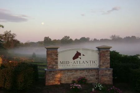 Mid-Atlantic Equine Medical Center
