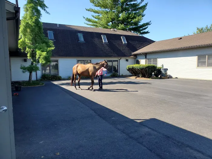 Mid-Atlantic Equine Medical Center 12