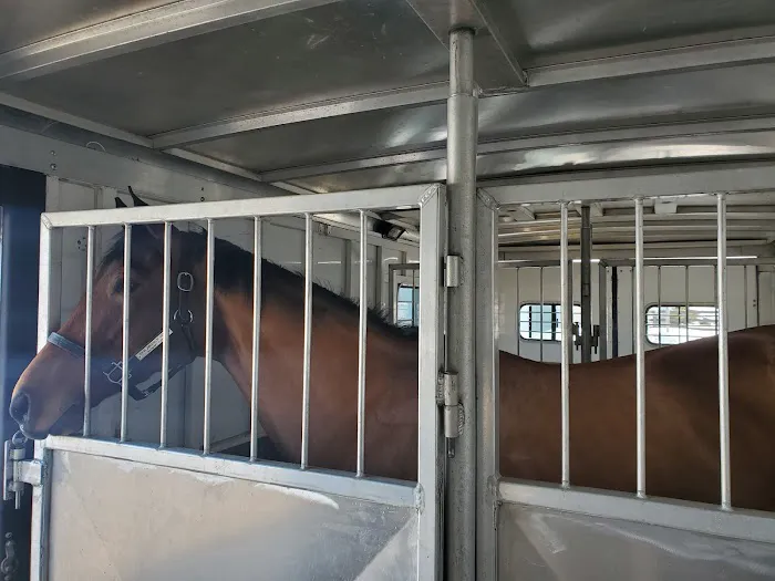 Mid-Atlantic Equine Medical Center 12