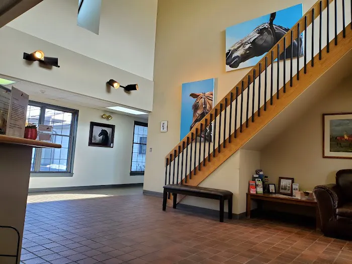 Mid-Atlantic Equine Medical Center 12