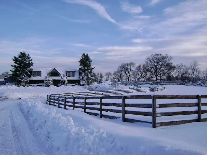 Mid-Atlantic Equine Medical Center 12