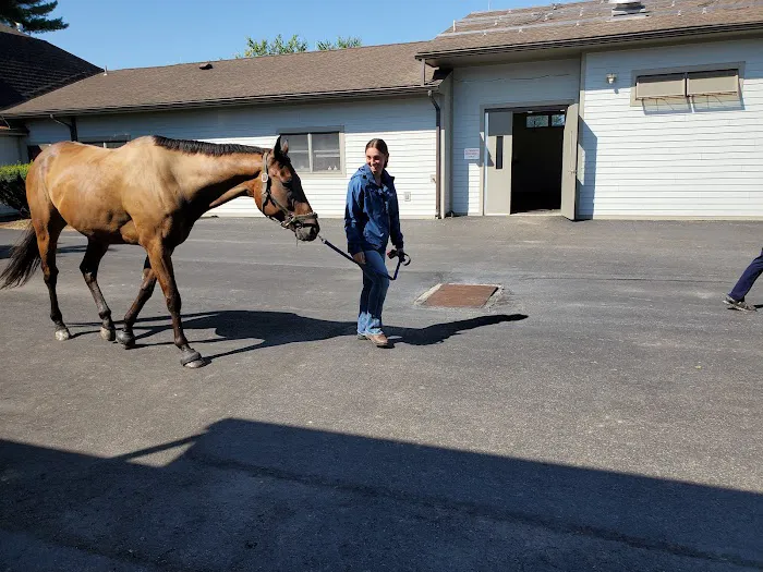 Mid-Atlantic Equine Medical Center 12