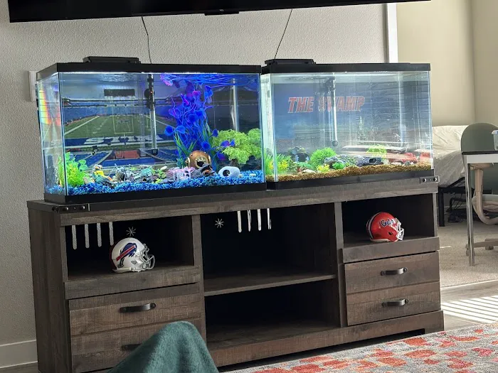 Mike Dudley Clownfish 12