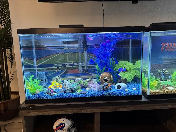 Mike Dudley Clownfish 12
