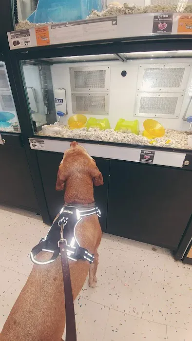 Petco 12