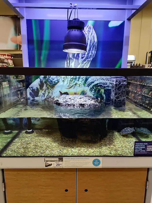 Petco 12