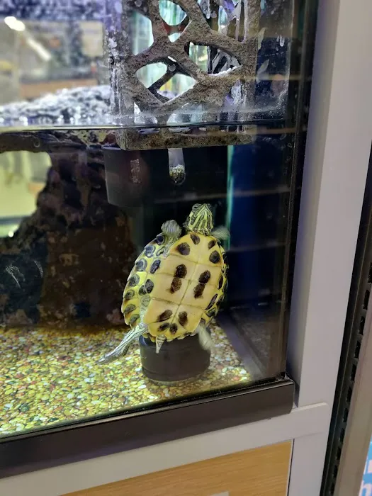 Petco 12