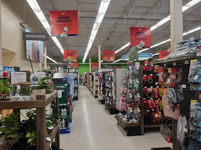 Petco 12