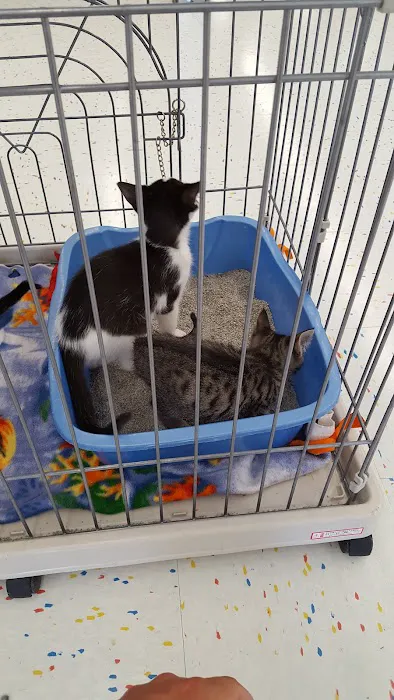 Petco 12