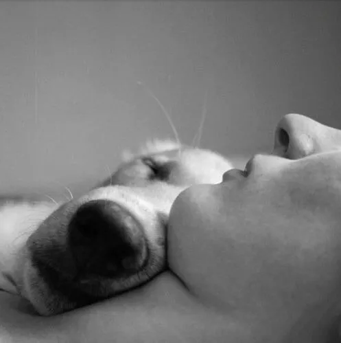 Animal Health Care of Marlboro 12