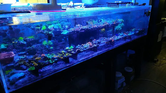 Drysdale Aquarium Inc 12