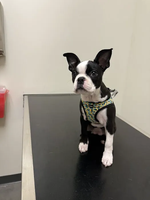 Vetco Total Care Animal Hospital 12