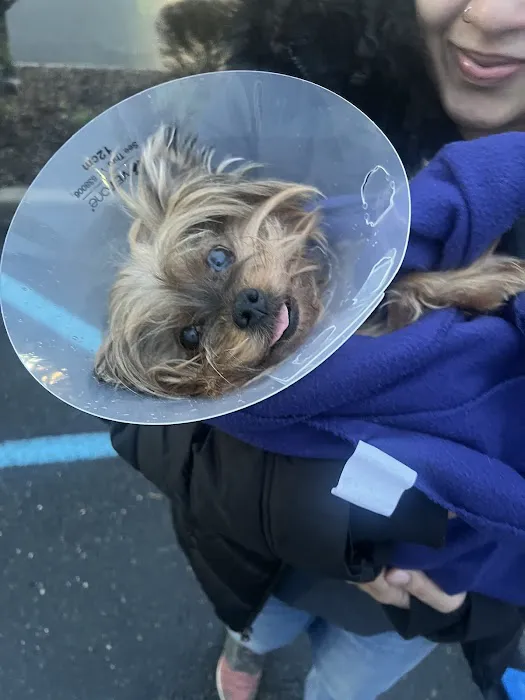 Vetco Total Care Animal Hospital 12