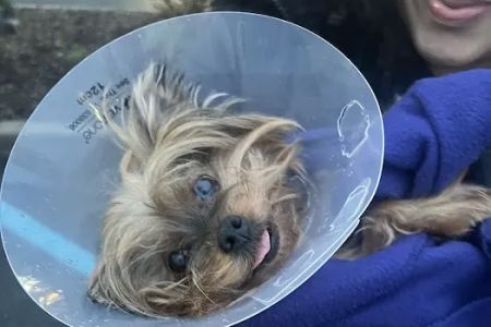 Vetco Total Care Animal Hospital