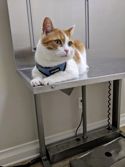 4 Paws Animal Hospital 12