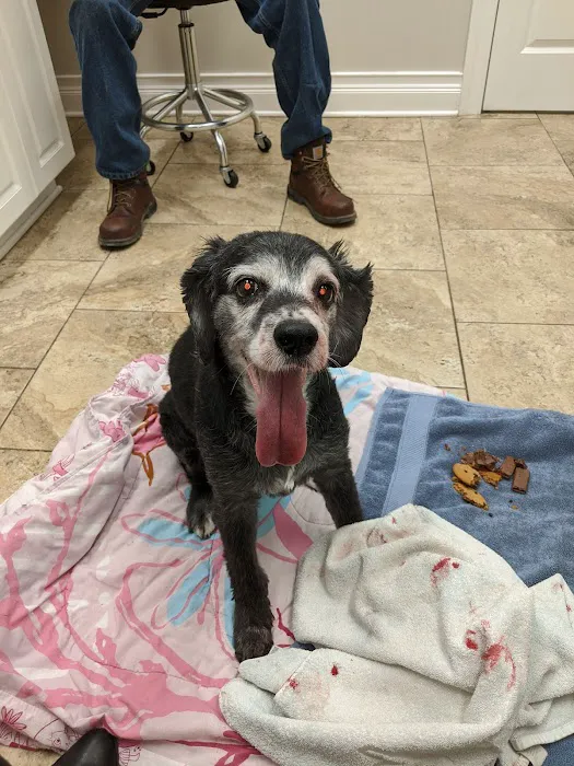 4 Paws Animal Hospital 12