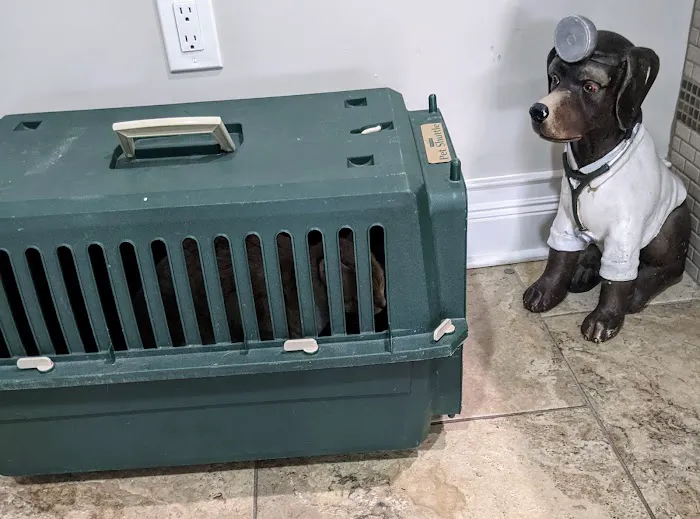 4 Paws Animal Hospital 12