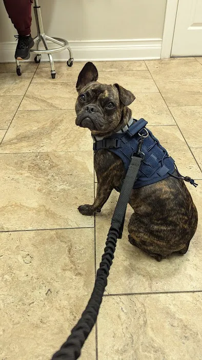 4 Paws Animal Hospital 12