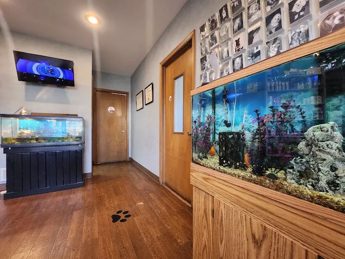 Marlboro Village Veterinary Hospital of Marlboro and Aberdeen,