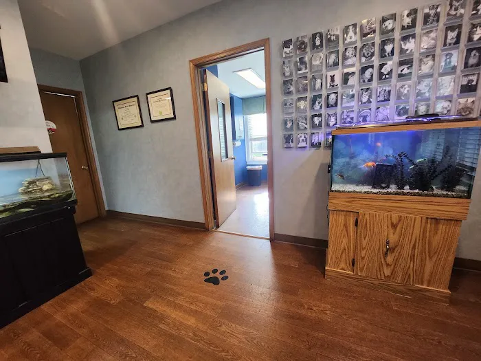 Marlboro Village Veterinary Hospital of Marlboro and Aberdeen,