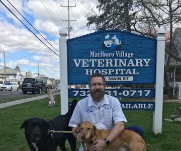 Marlboro Village Veterinary Hospital of Marlboro and Aberdeen, 