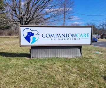 Companion Care Animal Clinic