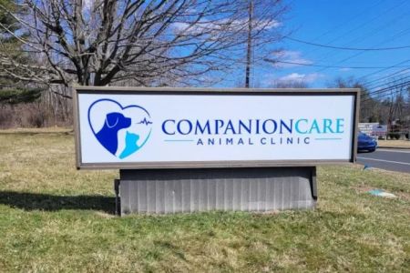 Companion Care Animal Clinic