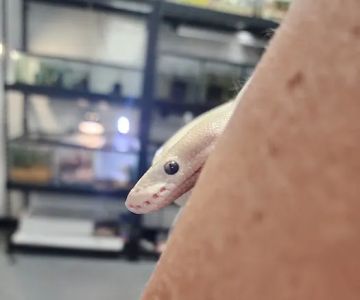 ZOO HOUSE, LLC