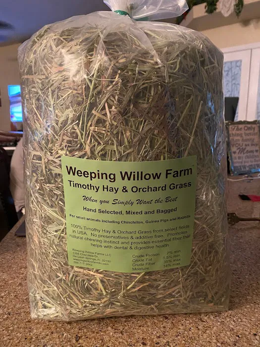 Weeping Willow Farm llc Home of C & B Chinchillas 5