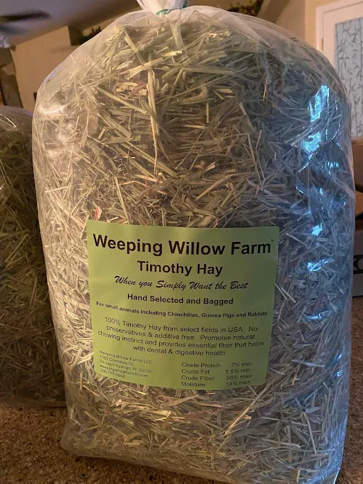 Weeping Willow Farm llc Home of C & B Chinchillas 4