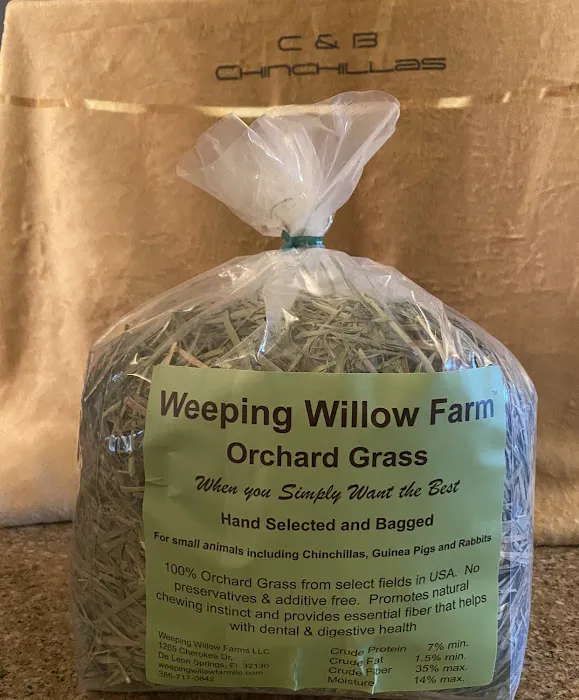 Weeping Willow Farm llc Home of C & B Chinchillas 6