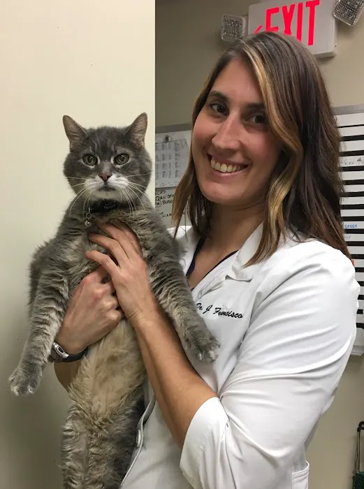Dr. Jessica Francisco, DVM 3