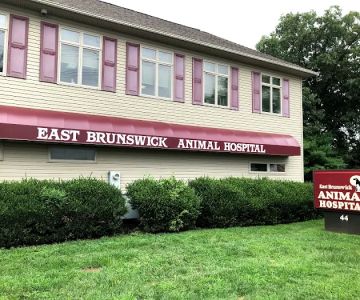 Dr. Justin Cutillo, DVM