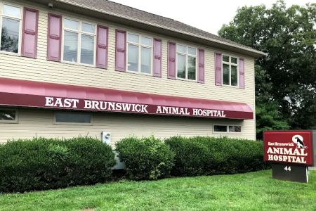 Dr. Justin Cutillo, DVM