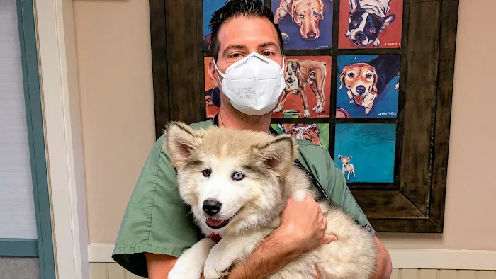Dr. Justin Cutillo, DVM 12