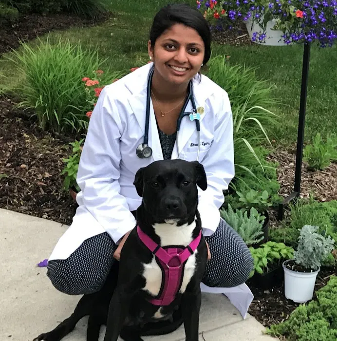 Dr. Shruti Iyer, DVM 3