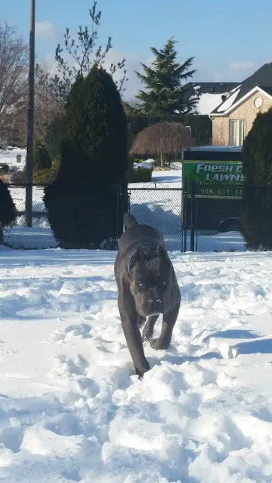 Farmingdale Veterinary Clinic 12