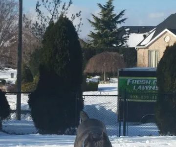 Farmingdale Veterinary Clinic