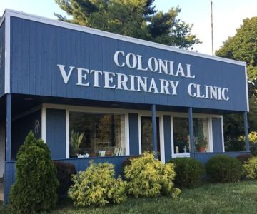 Colonial Animal Hospital