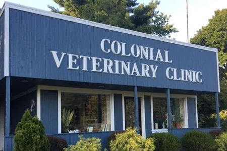 Colonial Animal Hospital