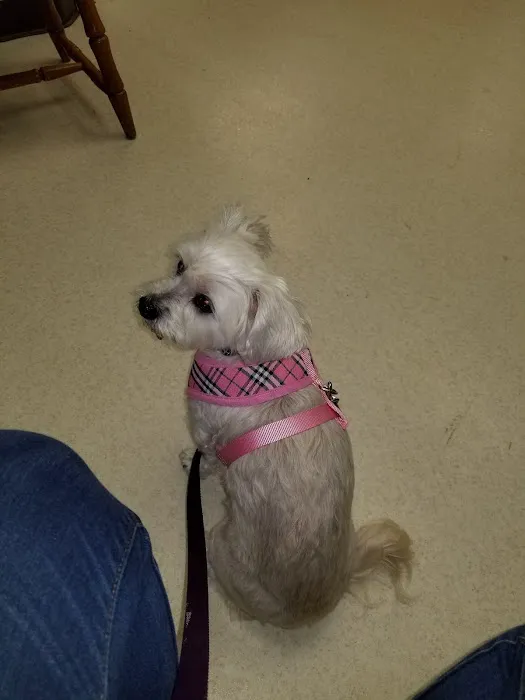Colonial Animal Hospital 12