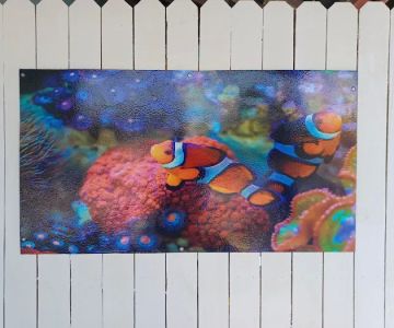 aquatic visions