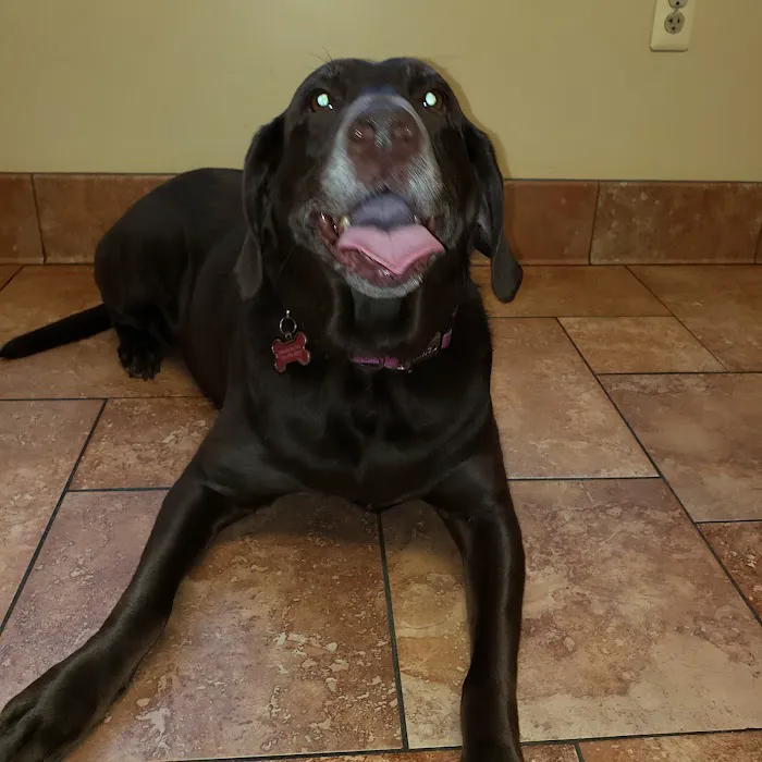 Barnside Veterinary Hospital 12