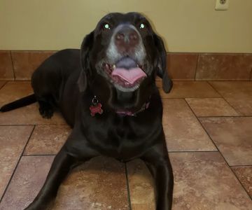Barnside Veterinary Hospital