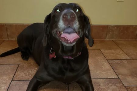 Barnside Veterinary Hospital