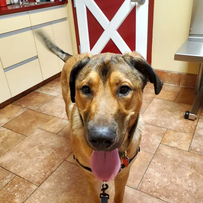 Barnside Veterinary Hospital 12