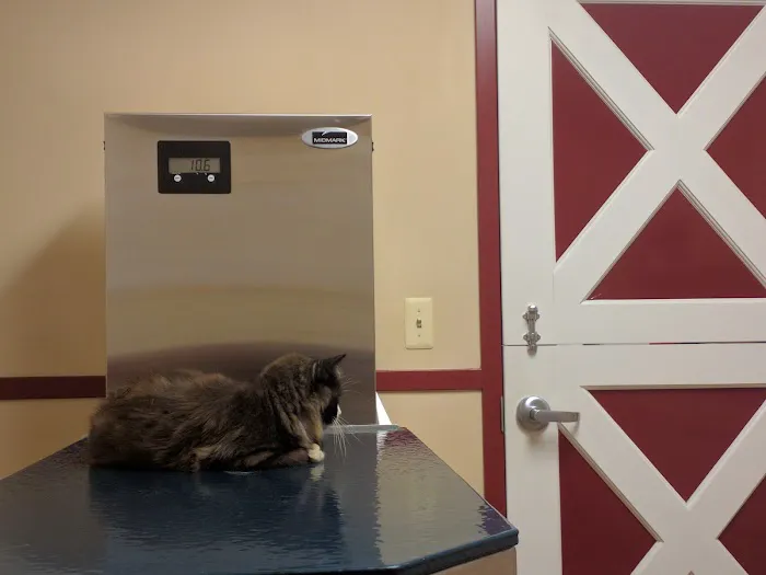 Barnside Veterinary Hospital 12